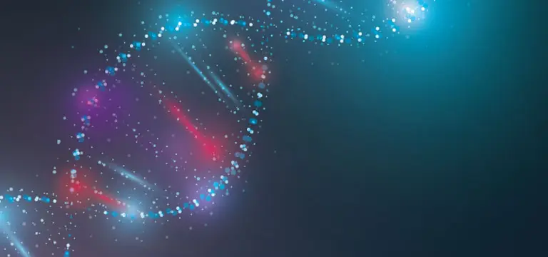 Neurons